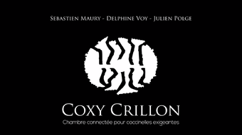 Coxy-crillon.png